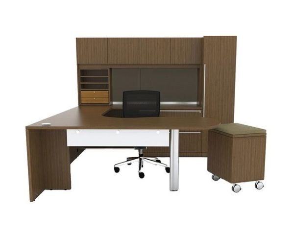 Conjunto-directivo-OF-D8