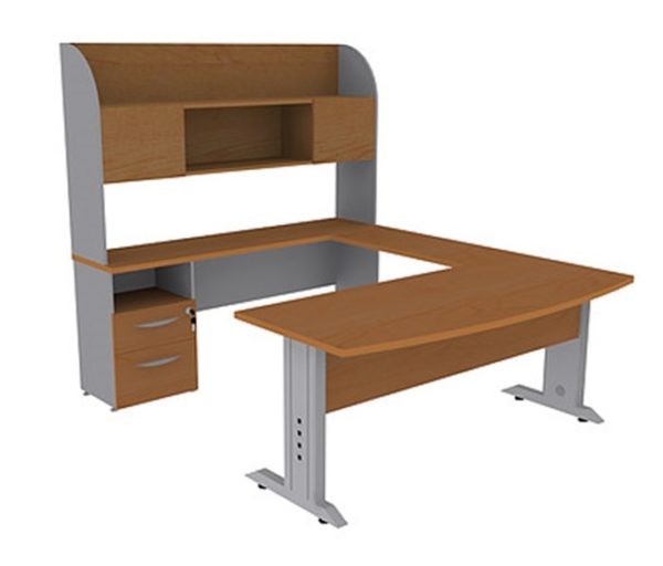 Modulo directivo-OF-D19