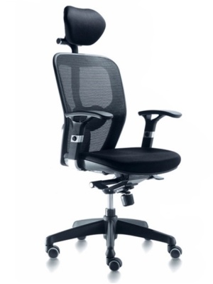 Silla directiva S-D4